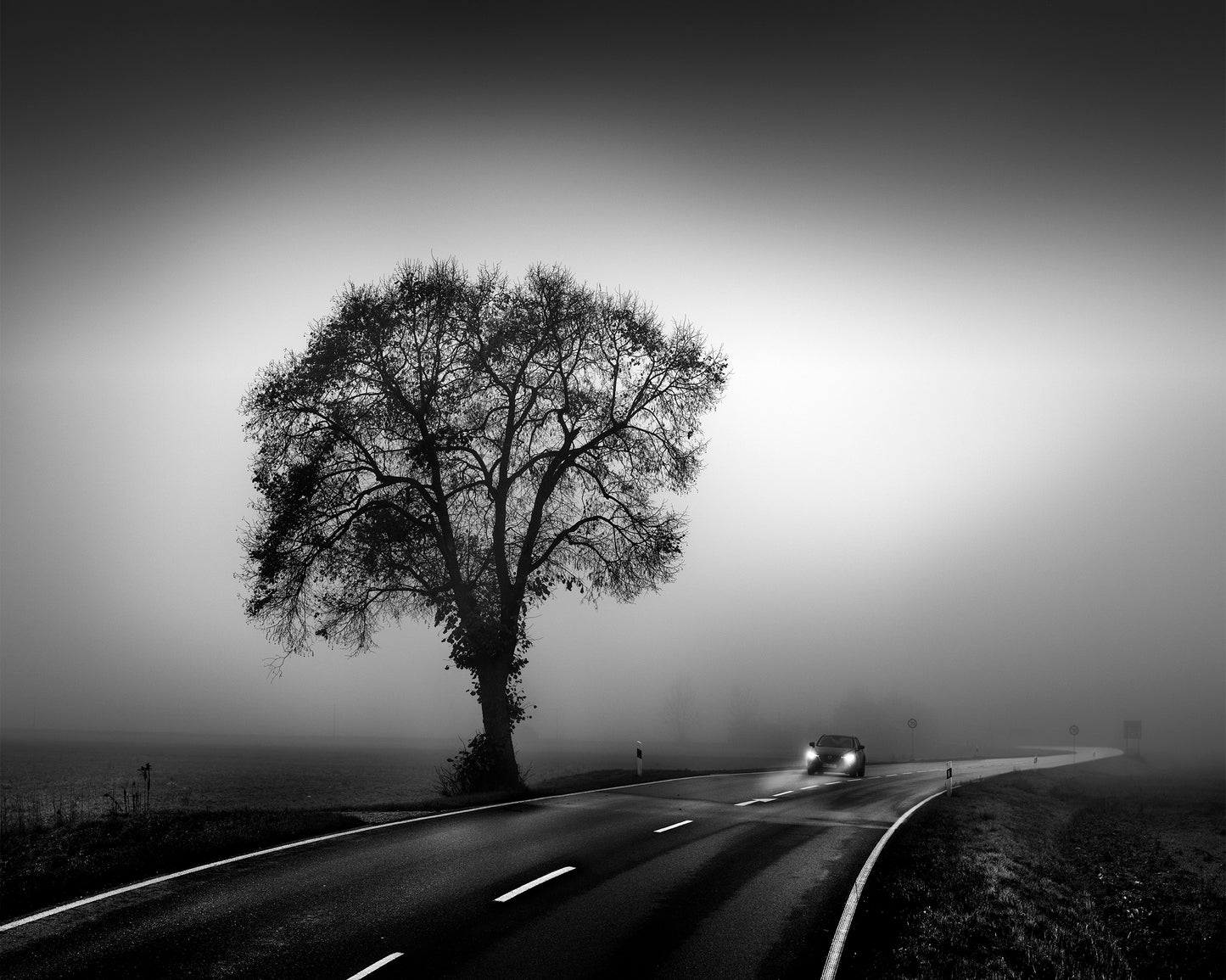 Foggy Morning