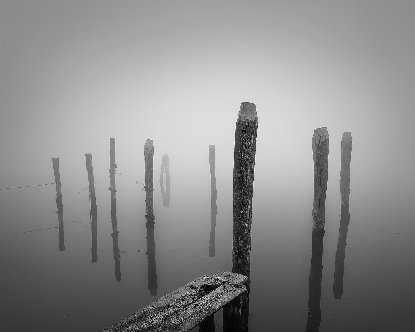 Foggy Venice #5