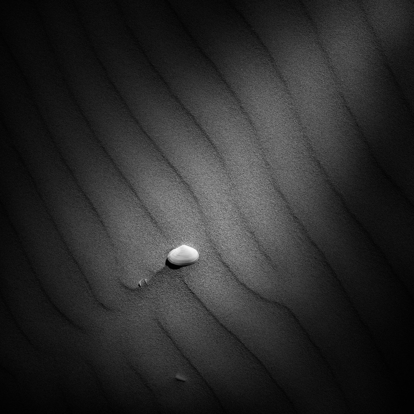 Sand #3