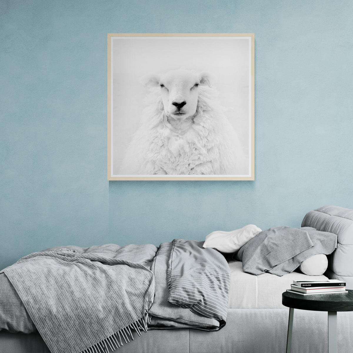 Portrait of a Sheep