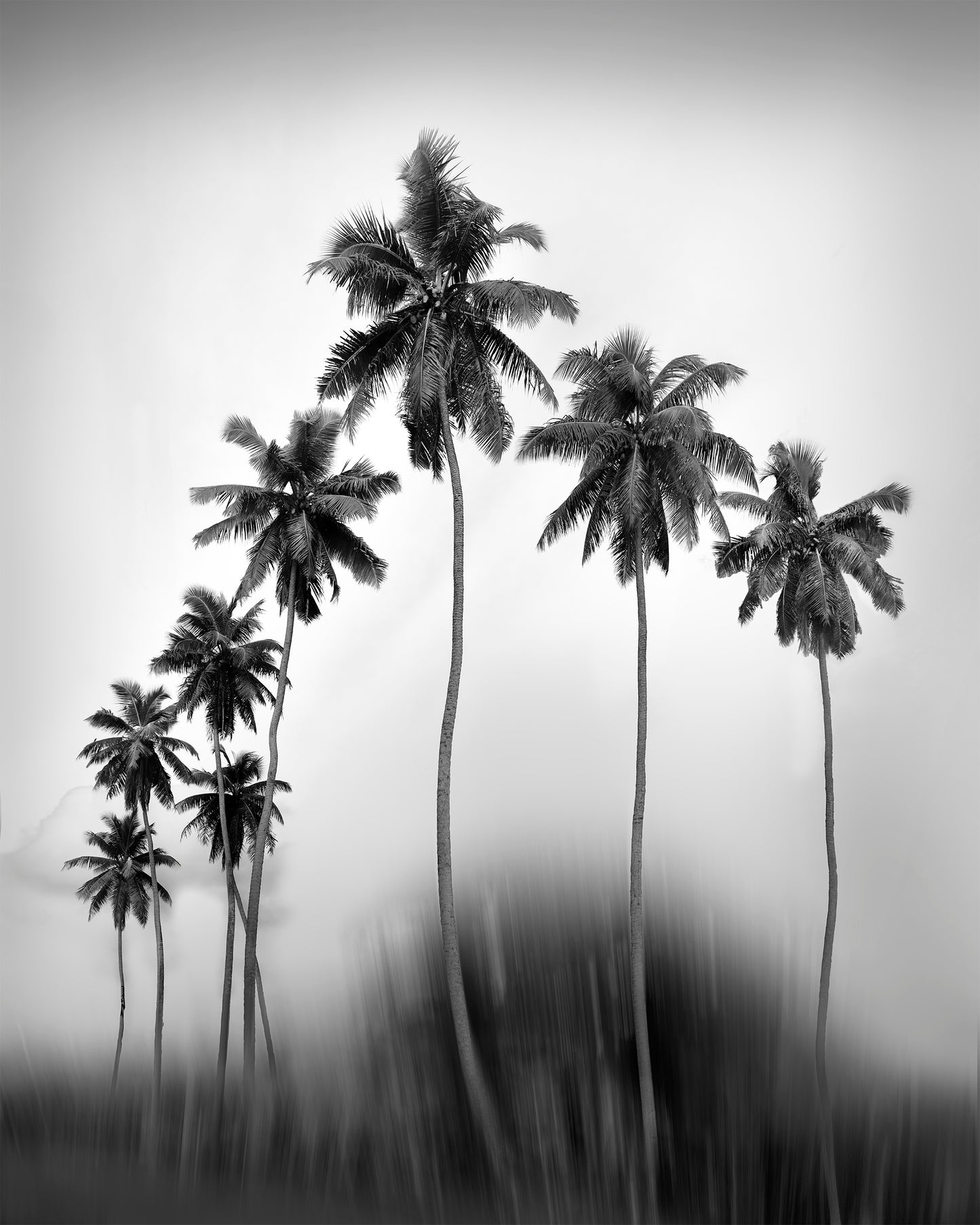 The Coco Parade