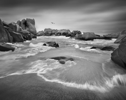 Coastal granite #8