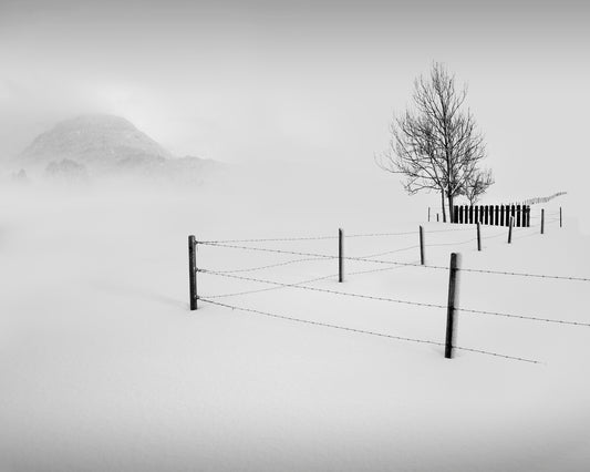 Fence with snow