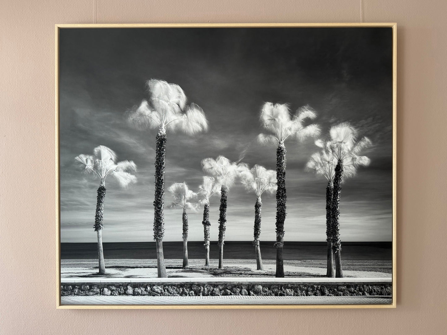 Palm Tree Variations #7 (Ausstellungsbild)