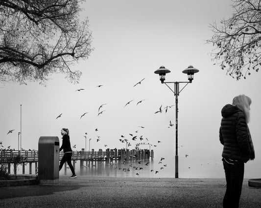 November by the Lake