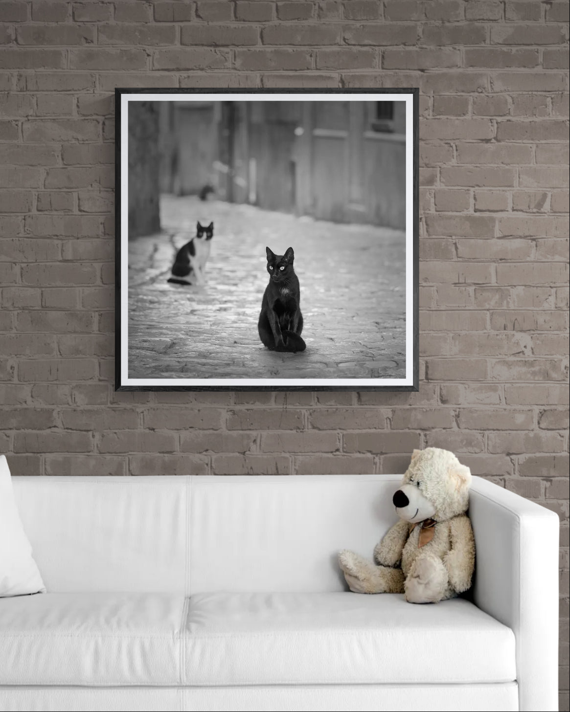 Cats