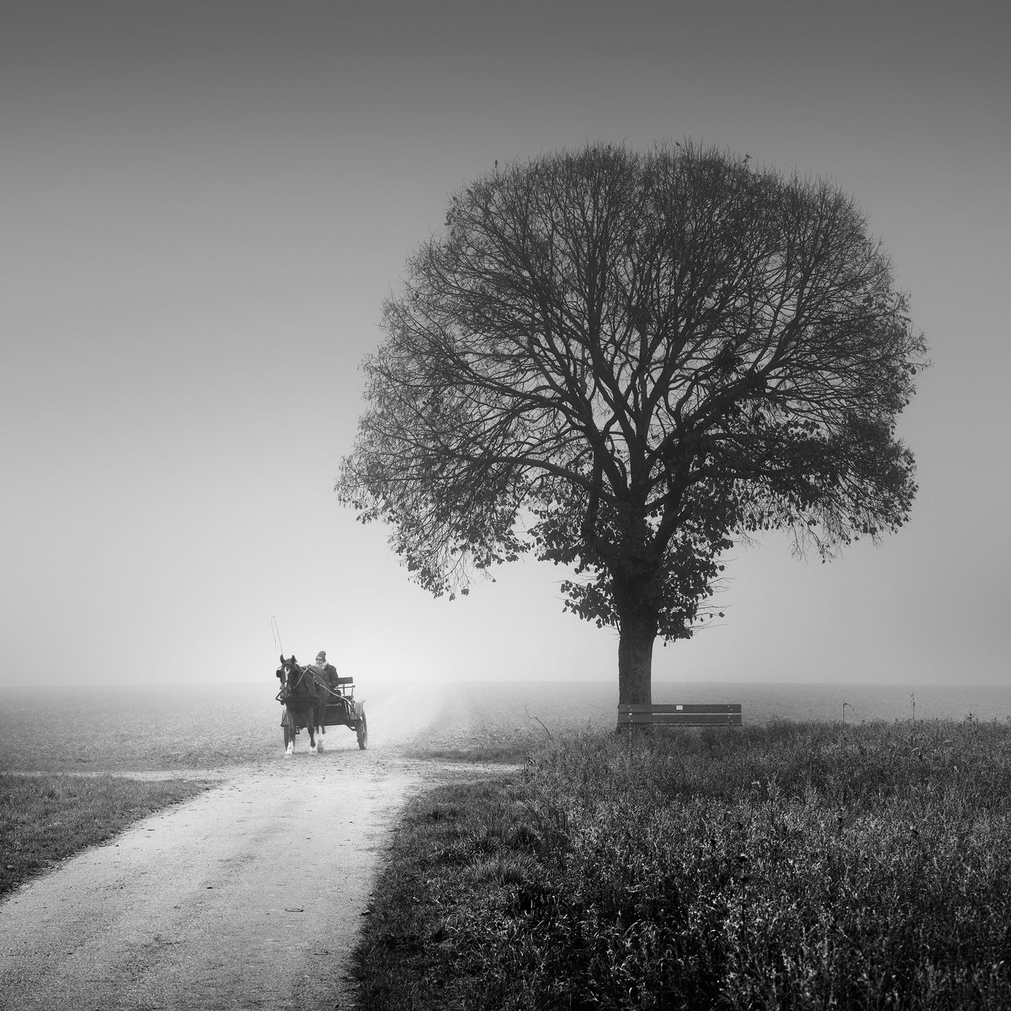 Village traffic