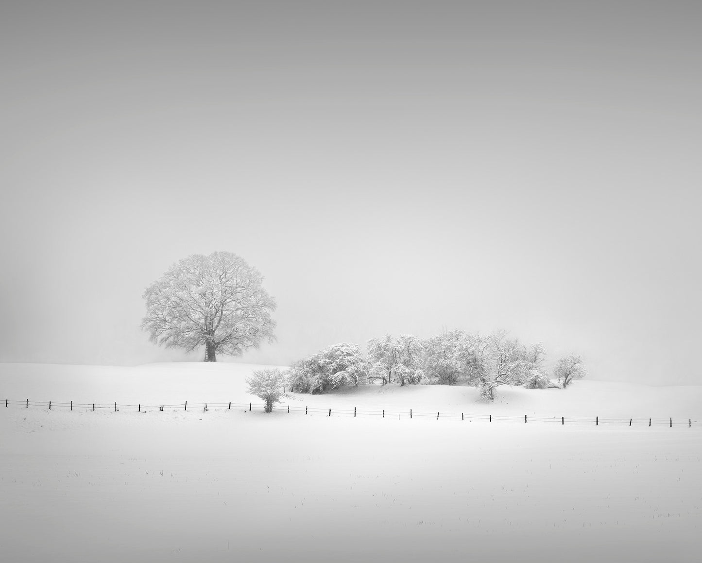 Winter Landscape (Exhibition Print)
