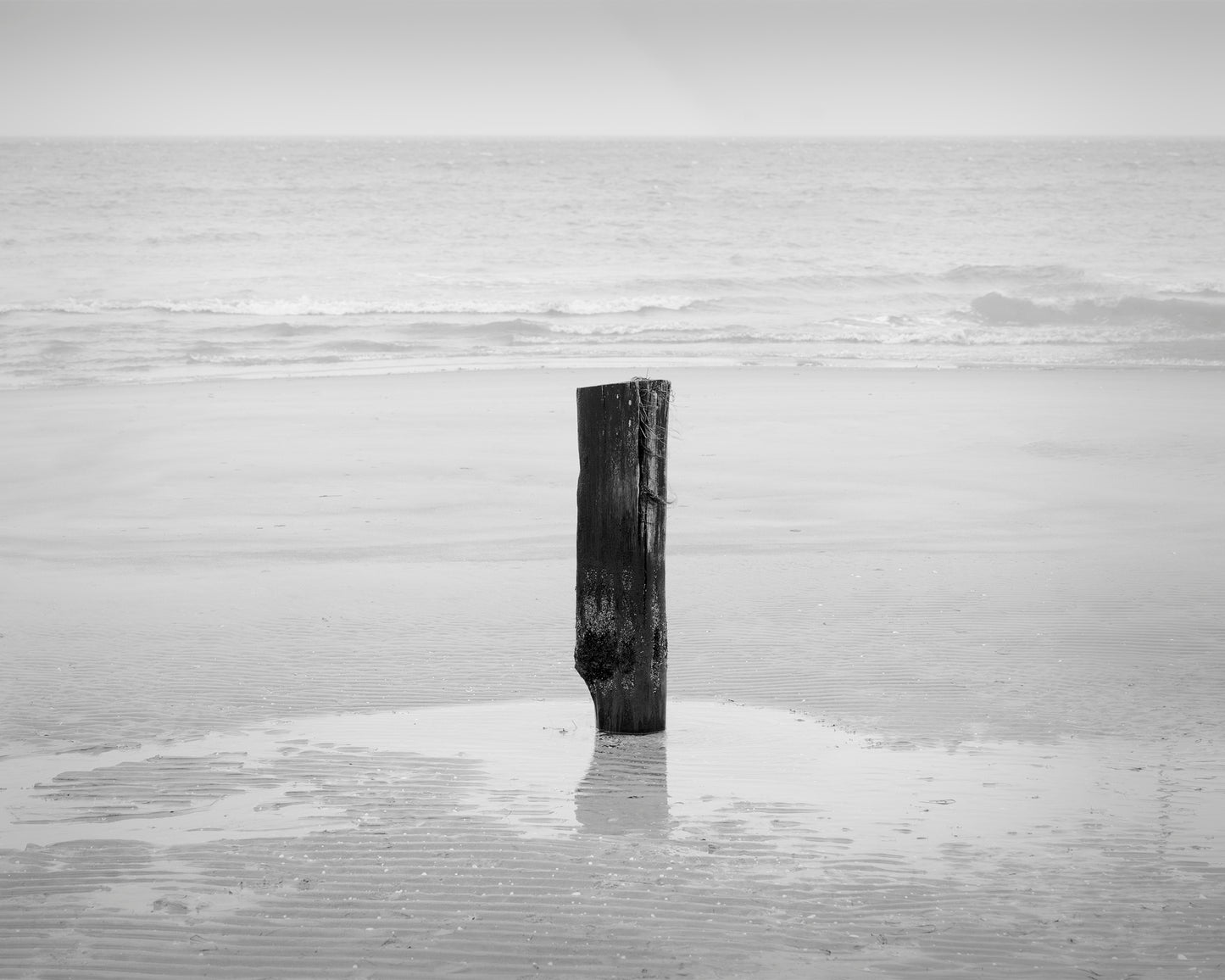 Zingst Low Water #4